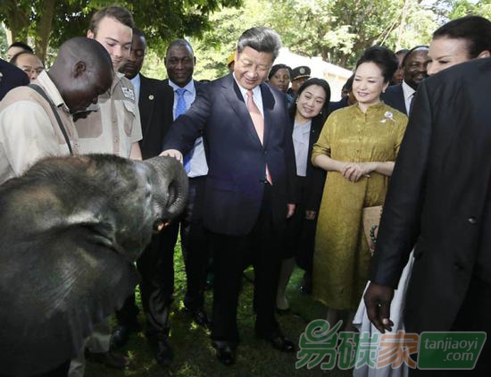 2015年12月2日，國家主席習近平在津巴布韋考察野生動物救助基地。新華社記者蘭紅光攝