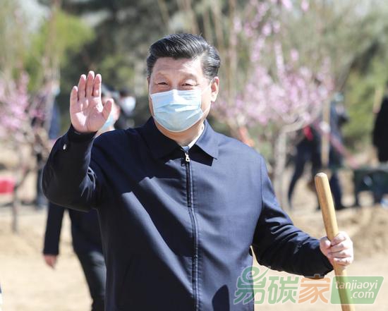 2020年4月3日，黨和國家領導人習近平、李克強、栗戰書、汪洋、王滬寧、趙樂際、韓正、王岐山等來到北京市大興區舊宮鎮參加首都義務植樹活動。這是習近平拿起鐵鍬走向植樹地點，向正在植樹的干部群眾揮手致意。新華社記者龐興雷攝